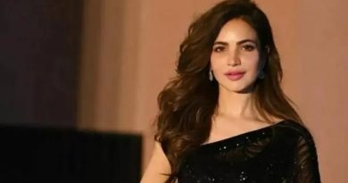 actress humera asghar