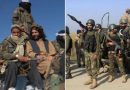 Pakistan Army responds to Afghan border firing
