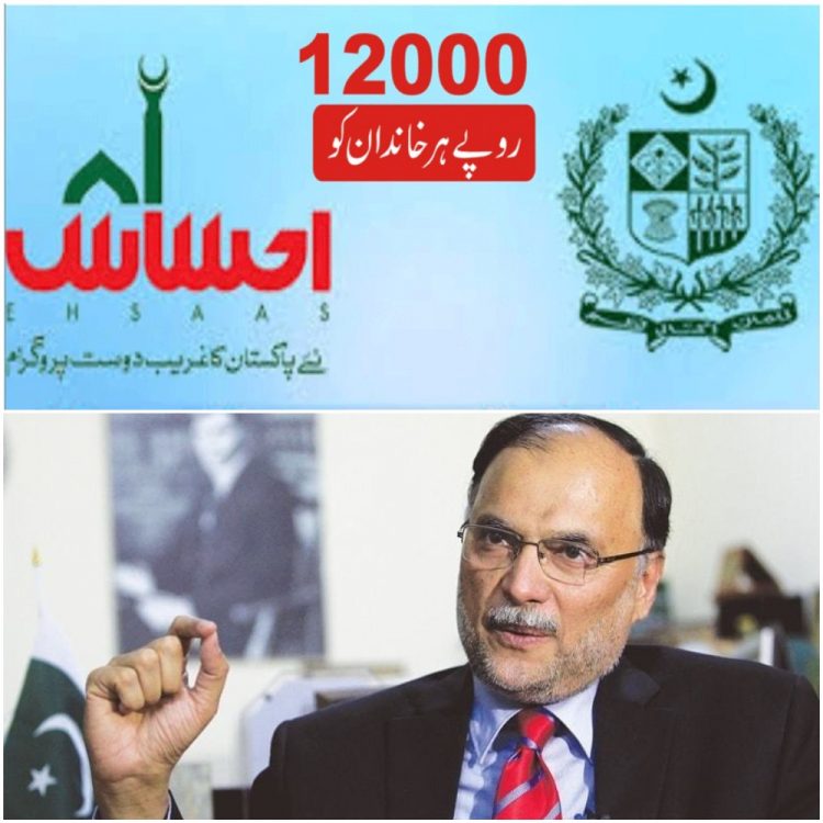 AHSAN IQBAL EHSAAS NLeague GOVT e1589461438254