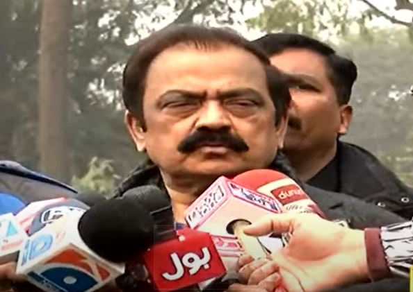 RANA SANA