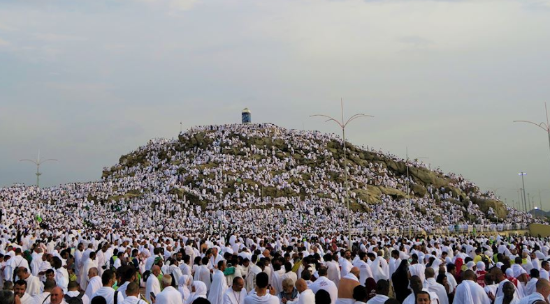 عازمین آج حج کا رکن اعظم وقوف عرفہ ادا کررہے ہیں