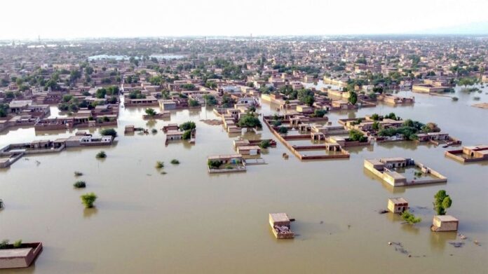 PDMA AND FLOOD IN PAKISTAN